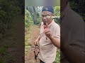 सिकारी दाइ