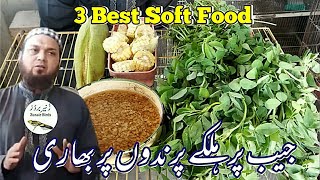 3 Best Soft Food|جیب پر ہلکے پرندوں پر بھاری|zunair birds