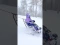 Adaptive Skiing