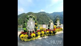 깨끗하고 아늑한 단양 감성 숙소 스테이230 게스트하우스! #쇼츠 #shorts #단양숙소 #단양 게스트하우스 #단양여행 #도담삼봉 #단양