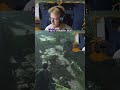 Tsushima Deserves a Better Ghost My Strategy Is Mostly Panic #ghostoftsushima #gaming #streamer