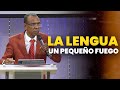 La lengua un pequeo fuego  pastorernestocuevas  pastorernestocuevas394