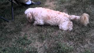 Screw doggy style! Lets go missionary...