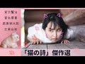 【朗読】「猫の詩」傑作選【漫画】月に吠えらんねえ紹介【猫アート展の映像もいっぱい】