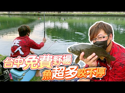 【跟我去釣魚】台中免費親子釣魚公園 超多魚咬不停 水超乾淨的啦 Mancing Ikan