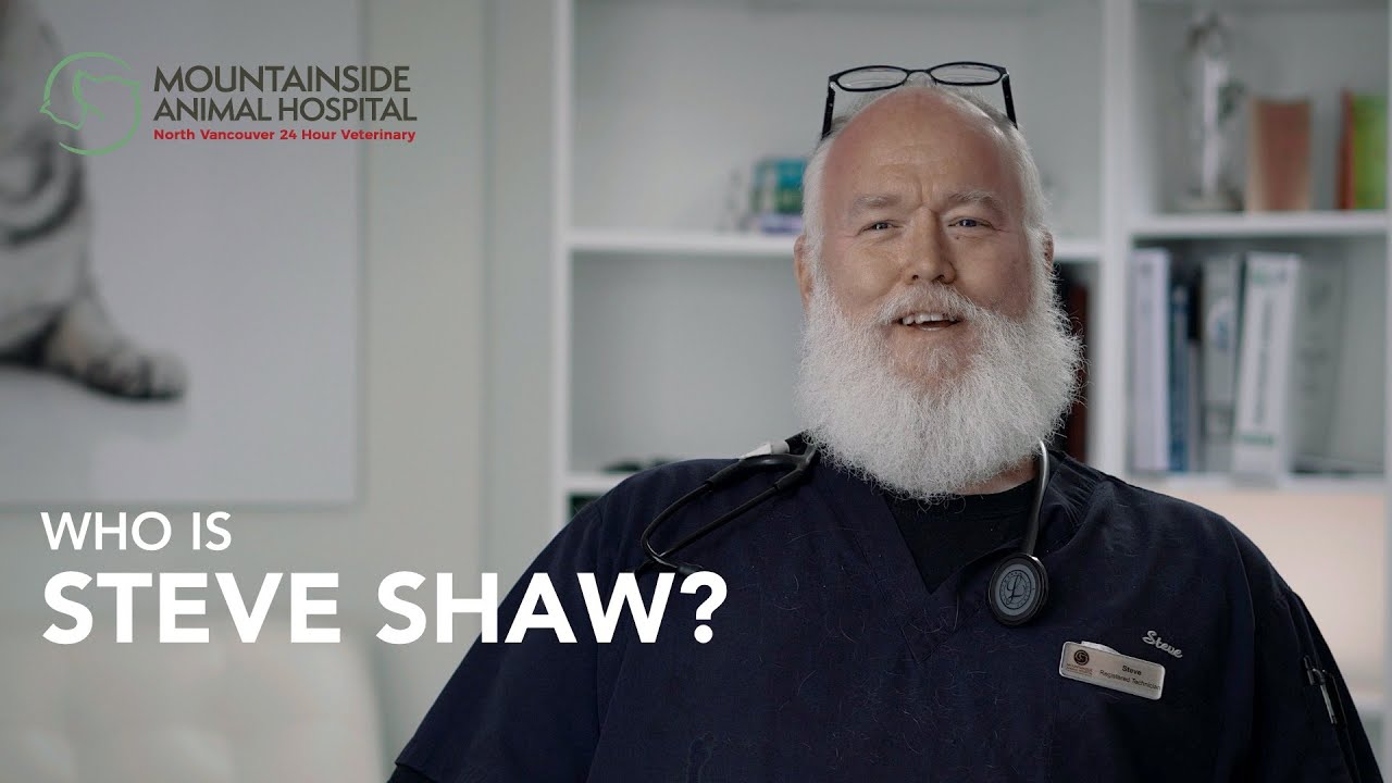 Team Intro Video for Mountainside Animal Hospital: Meet Steve Shaw - YouTube