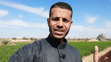 خمس نصائح لمن أراد حفظ وتثبيت القرآن الكريم للشيخ بكر ابراهيم