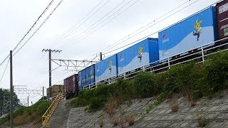 2019/06/07 JR貨物 朝貨物 1055レにカルちゃん3基並び 1068レにJR発電機