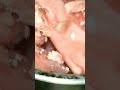 بروتين الغالبه مش هيكلفك غير ١٥جنيه