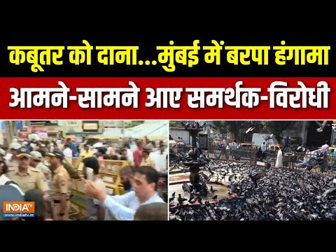 Mumbai Kabutar Khana : कबूतरखाने पर तिरपाल…जैन समाज का आर-पार! | Marathi Ekta Samiti | Dadar News