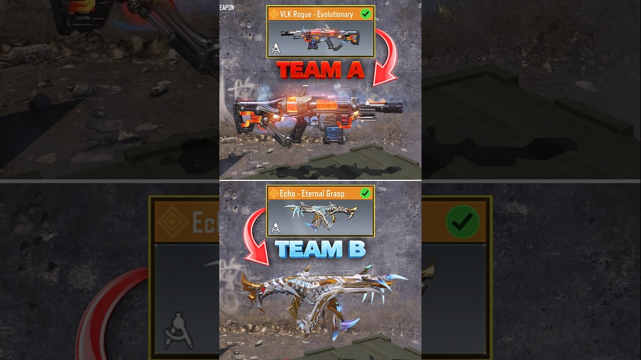 Echo vs VLK Rogue which one is better? 