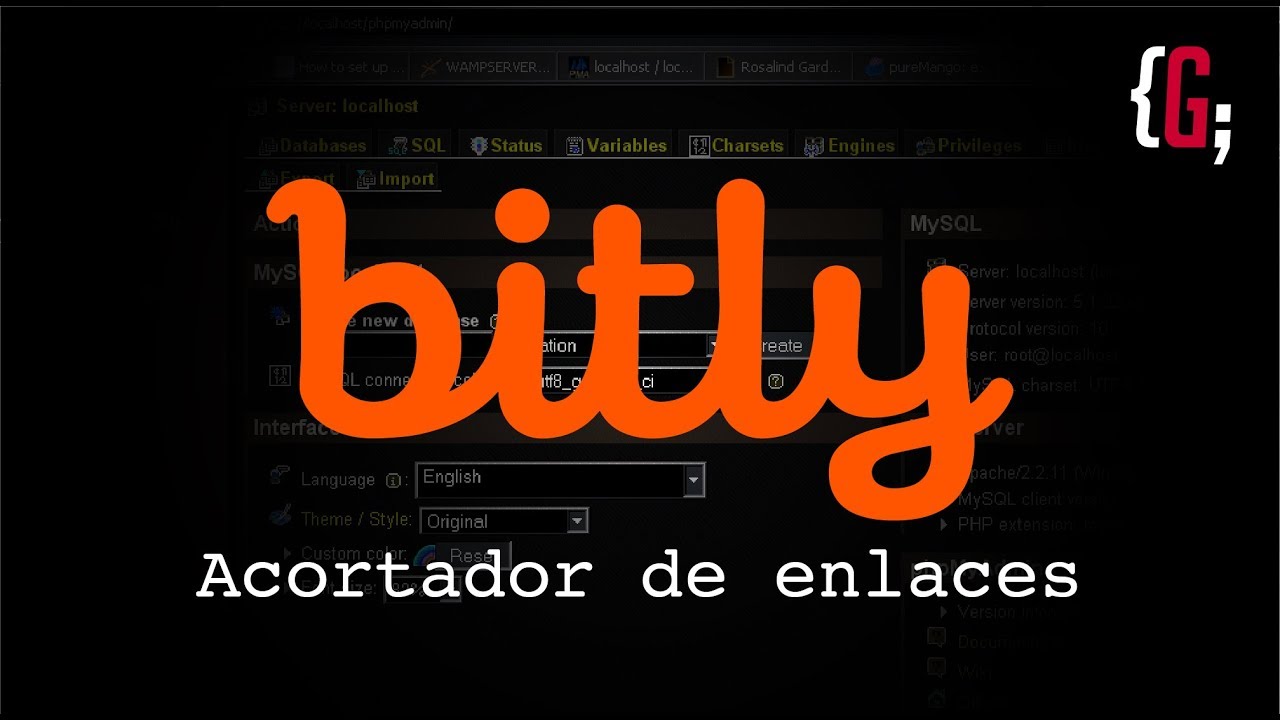 ¿Qué es Bitly?