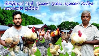 Biggest brahma farm  සමපෝෂ රහස   කුකුළන් සාදා මසකට ලක්ෂ දෙකකට වඩා අමතර ආදායමක් ලේසියෙන්ම හොයමු