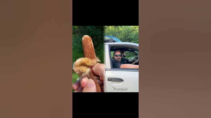 When a cop pulls up next to u 👮‍♂️#funny #pov #foryou