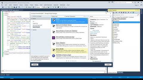 Learn to Integrate any theme into ASP Net MVC in professional way