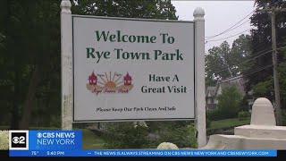 Suspected serial sex predator arrested in Port Chester