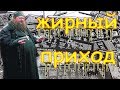 Большой обзор пластин для стемпинга creative shop