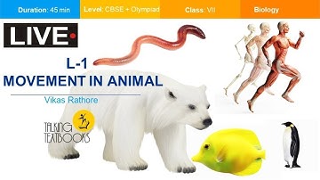 L-1 Movement in Animal | Class 7 Crash Course | Vikas Rathore | TTB