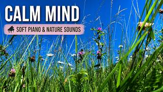 🌿 Relaxing Meadow Sounds with Soft Piano 🌸 Calm Nature for Sleep & Stress Relief screenshot 1