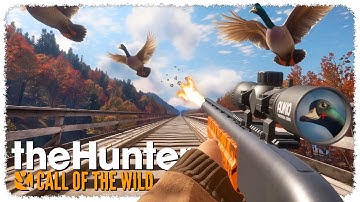 Hunting DIAMOND DUCKS on train tracks (ᶦᵗ