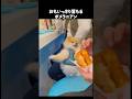 ポメラニアンの魅力が半端ない#犬 #いぬ