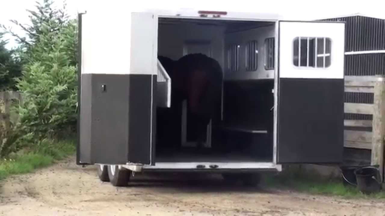 Rampe d'embarquement Exiss Easy Step pour chevaux