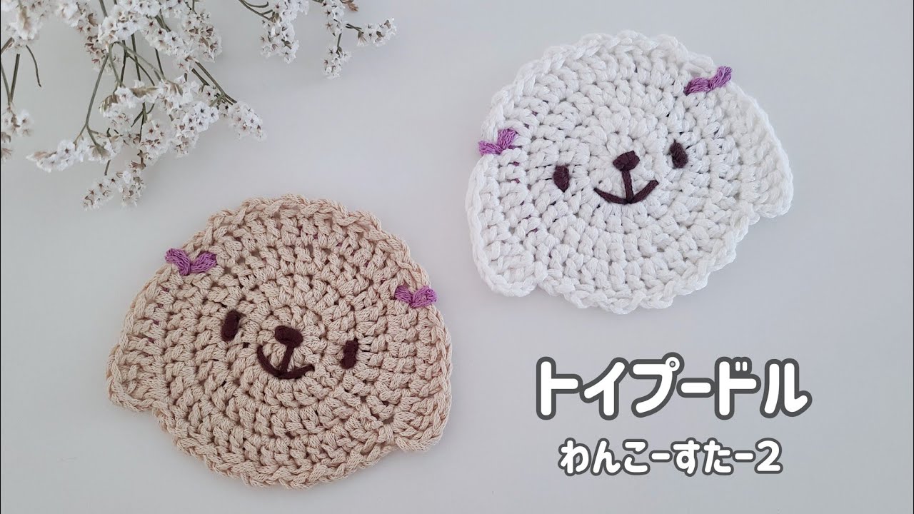 トイプードルのわんこーすたー🐾