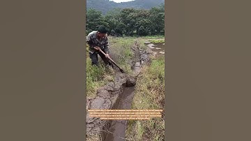 Farm Work: Canal Cleaning and Restoration of Water Flow
