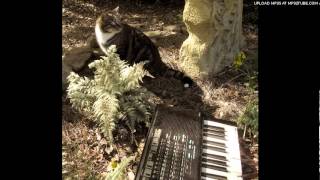 Casio HT-6000 demo 2