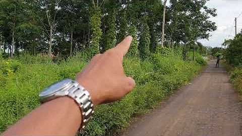 NVT1196 Lô đất khu dân cư, trung tâm xã Hòa Hội, Xuyên Mộc dt 20x80 giá 1.2 tỷ