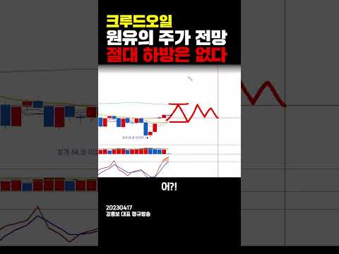   크루드오일 원유의 주가 전망 절대 하방은 없다 강흥보 대표