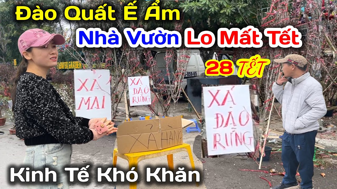 Đào Quất Ế Ẩm Nhà Vườn Lo Lắng Mất Tết Chưa Năm Nào Khó Khăn Như Thế Này Chợ Hoa Xuân Mỹ Đình Hà Nội