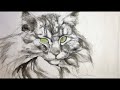 #What is Gongbi Style Chinese Painting?  Peinture chinoise ( GongBi) le Chat