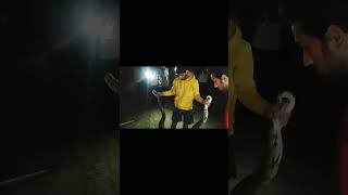 Indian rock python rescue and release #youtube #snake'sfriend #pyton #india #videos #vairalvideo