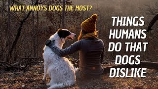 5 Simple Things Dogs Hate about Humans 🐕 What Annoys Dogs The Most?