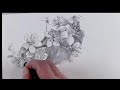 Draw a cherry blossom