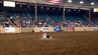 Whiplash The Cowboy Monkey