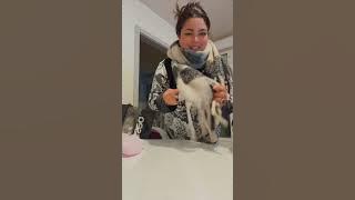 مشتارياتي باش غ نسافر من فرنسا للمغرب 