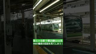 保土ヶ谷駅で横浜線E233系H007編成の回送を見てしまう！