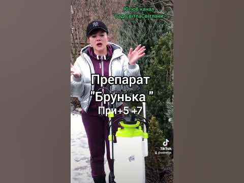 Перша обробка саду навесні. Препарат "Брунька "для обробки плодового ...