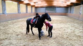 Lanzado De Niaster - 1Er Montoir Avril 2015