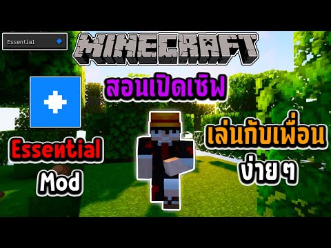 Teach how to open a Minecraft server to play with friends easily. Essential Mod
