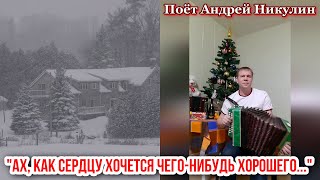 &quot;Ах, как сердцу хочется чего-нибудь хорошего&quot;. Душевная песня под гармонь. Поёт Андрей Никулин.