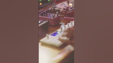 Chase Bliss Mood mk2 with OP-1 field ambient