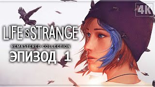 LIFE IS STRANGE: BEFORE THE STORM REMASTERED ➤ Прохождение - [4K] ─ Эпизод 1: Пробуждение ➤ На ПК