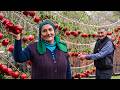 ????Flavorful Pomegranate Recipes! Simple Dishes from the Heart