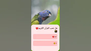 القرآن الكريم بصوت ياسر الدوسري تلاوة خاشعة 