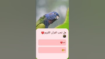 #القرآن #الكريم  بصوت #ياسر #الدوسري #تلاوة #خاشعة
