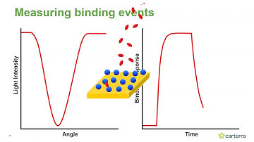 Fundamentals of Surface Plasmon Resonance (SPR) and High Throughput Kinetic Analysis