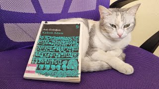 Bir Gecede Bitirdim: Kabuk Adam - Aslı Erdoğan| Önerisi